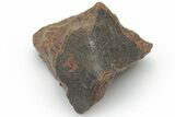 Chondrite Meteorite ( g) - Western Sahara Desert #223082-1